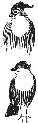 pagenumber_ebook=302,pagenumber_book=294