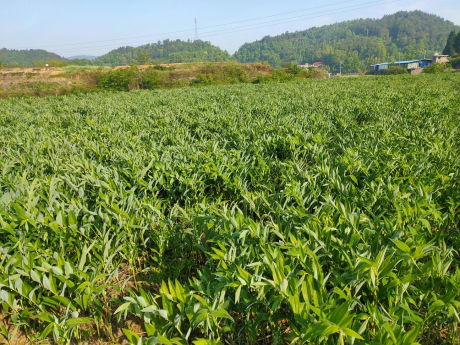 图片 58 图片 58.png