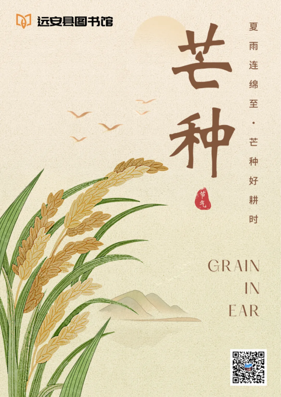 image image.png?v=1770180393282