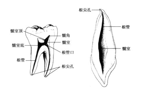 pagenumber_ebook=46,pagenumber_book=37