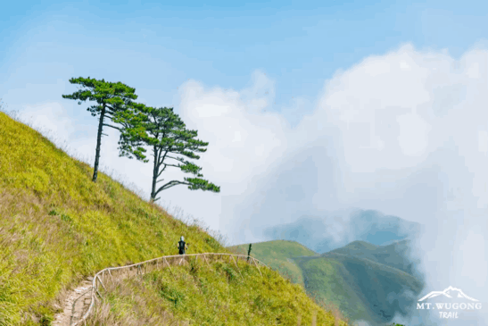 微信图片_20200917001945 微信图片_20200917001945.gif