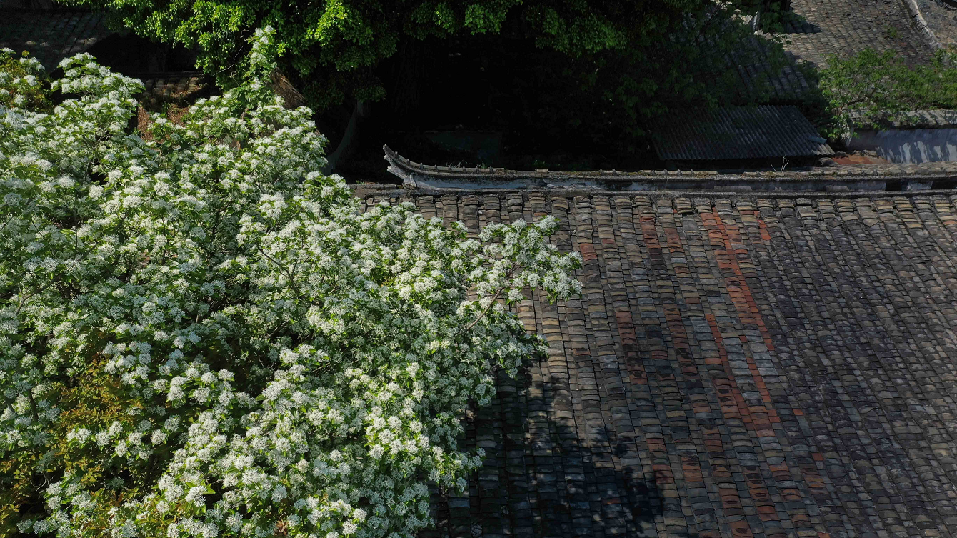 微信图片_20220406153740 微信图片_20220406153740.png