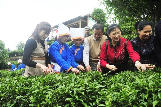 微信图片_20210507110714 微信图片_20210507110714.jpg