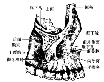 pagenumber_ebook=57,pagenumber_book=48