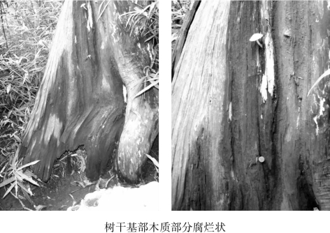 pagenumber_ebook=89,pagenumber_book=89