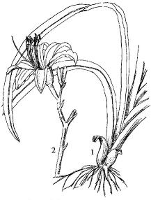 pagenumber_ebook=211,pagenumber_book=211