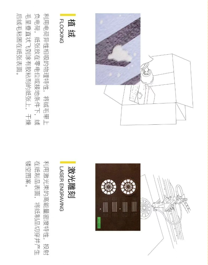 image.png?v=1757830622152