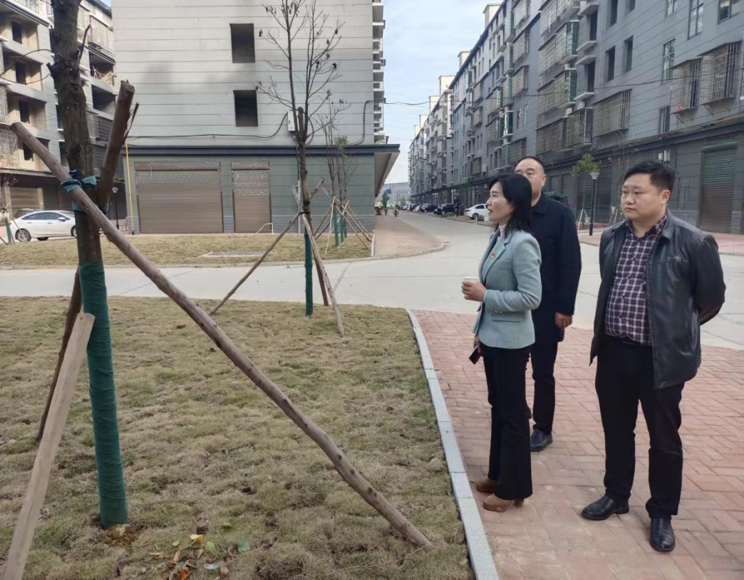 1 1.png?v=1765880485076