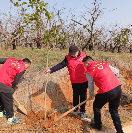 image image.png?v=1762619567231