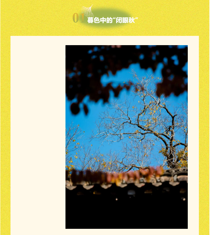 image.png?v=1786659430803