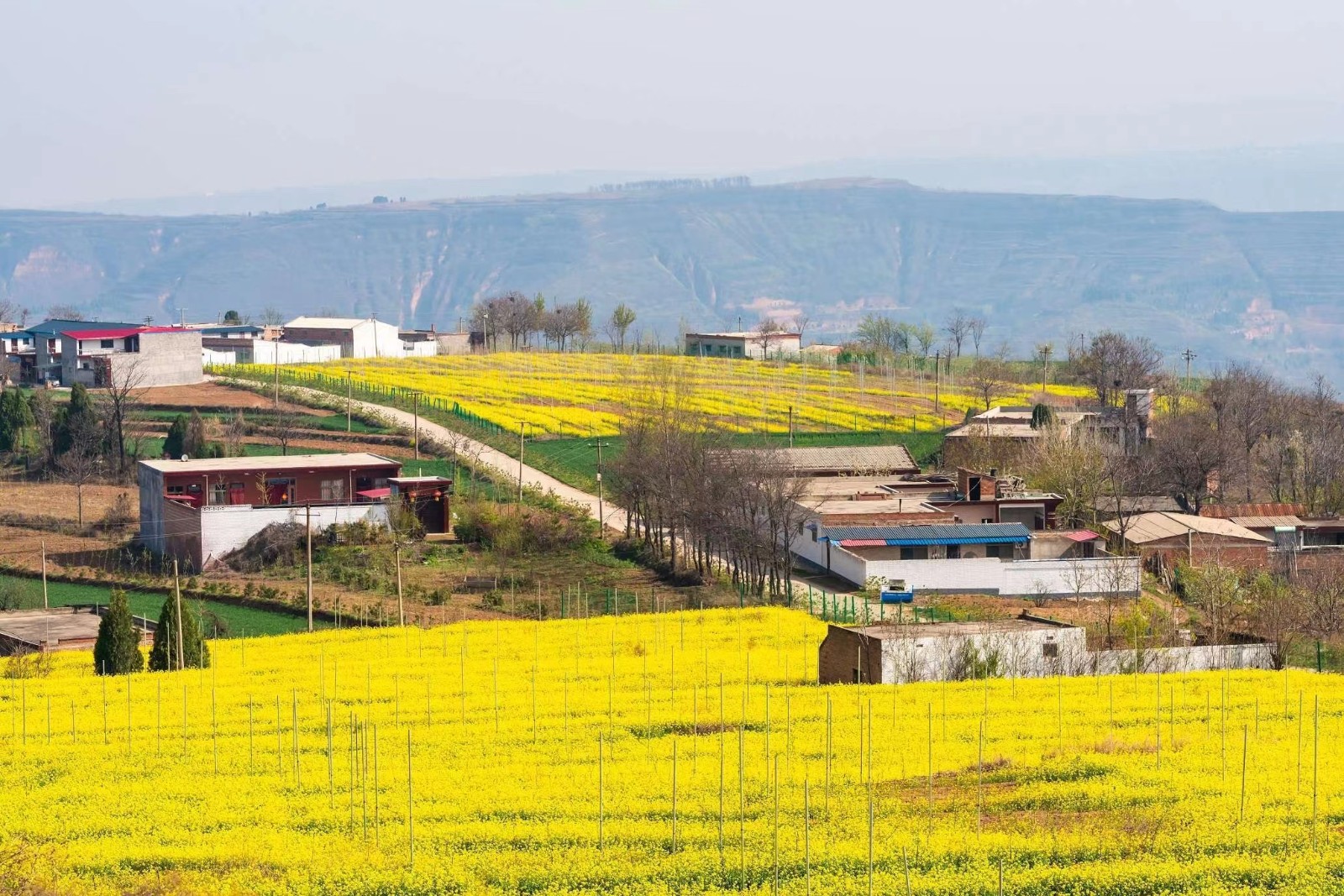 微信图片_202206241159013 微信图片_202206241159013.jpg