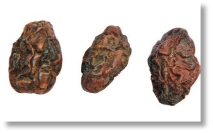 pagenumber_ebook=297,pagenumber_book=284