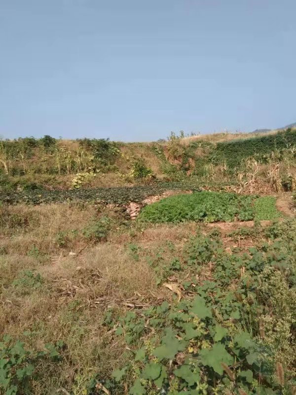 3f081456e992e69dc63918c57795537