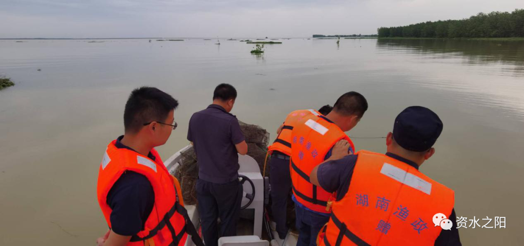 7 7.png?v=1765946531306