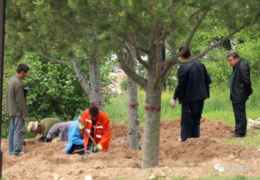 5f6e0b72572a2fa839349f29a942133e_640_wx_fmt=jpeg&wxfrom=5&wx_lazy=1&wx_co=1 5f6e0b72572a2fa839349f29a942133e_640_wx_fmt=jpeg&wxfrom=5&wx_lazy=1&wx_co=1.jpg