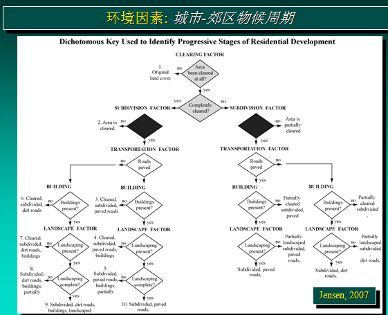 农村耕地是按照人口分的_牛耕地图片(3)