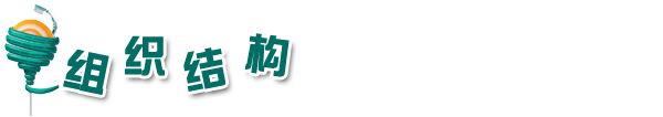 组织结构副本.png