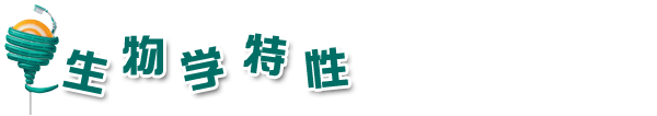 生物学特性副本.png