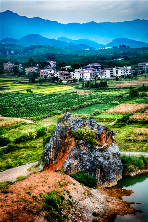 aa12--DSC_6176环境优雅，景美如画。.jpg