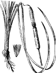 pagenumber_ebook=241,pagenumber_book=241