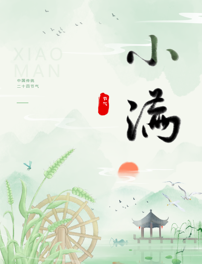 image.png?v=1780832900752