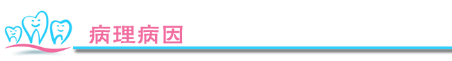 病理原因 副本.png