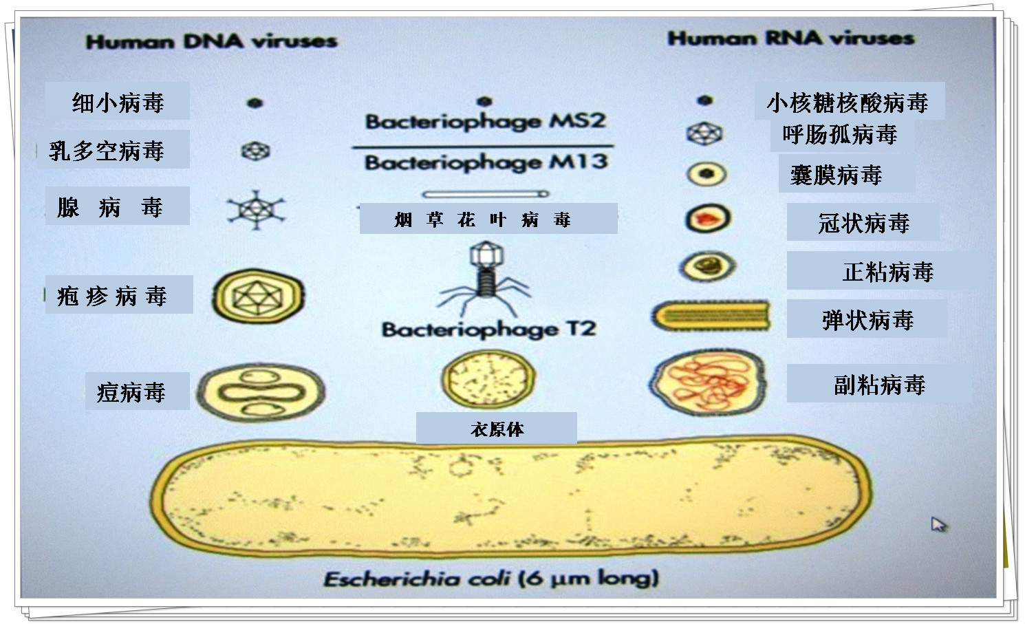全屏显示课程章节