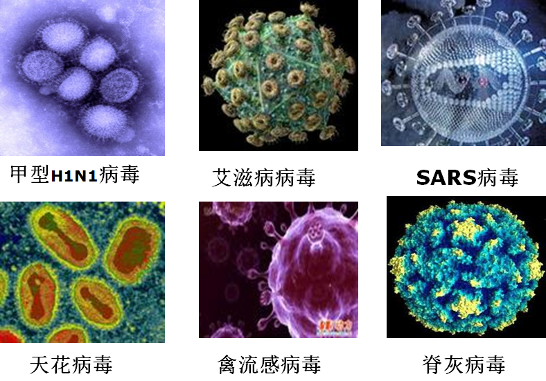 全屏显示课程章节