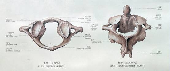 全屏显示课程章节