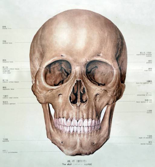 全屏显示课程章节