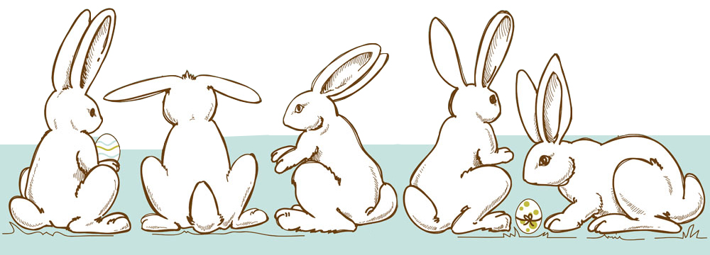 全屏显示课程章节