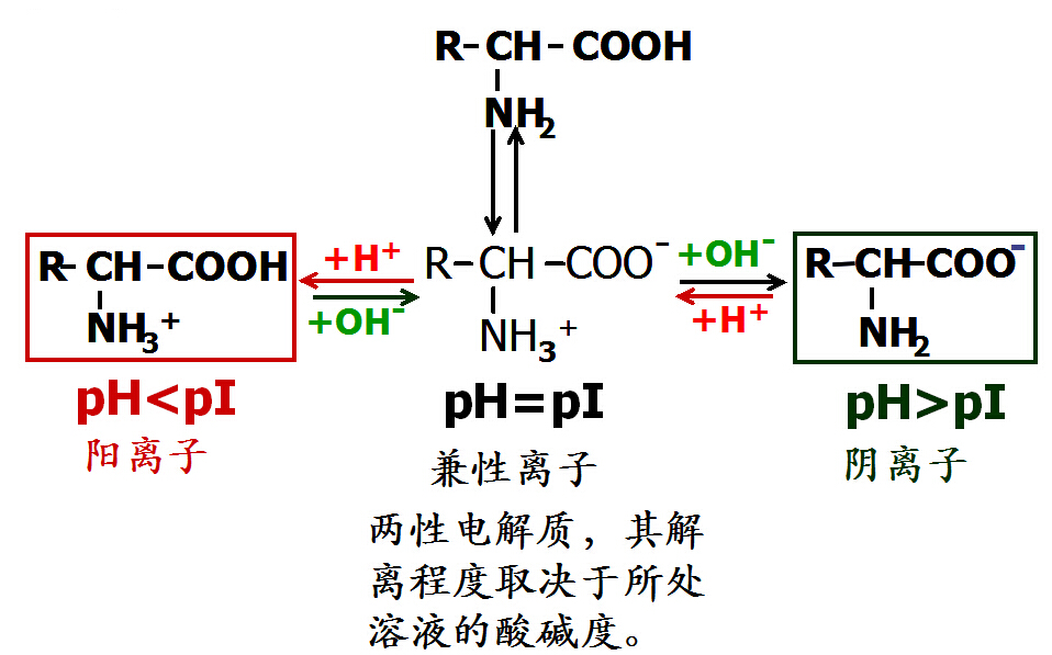 全屏显示课程章节