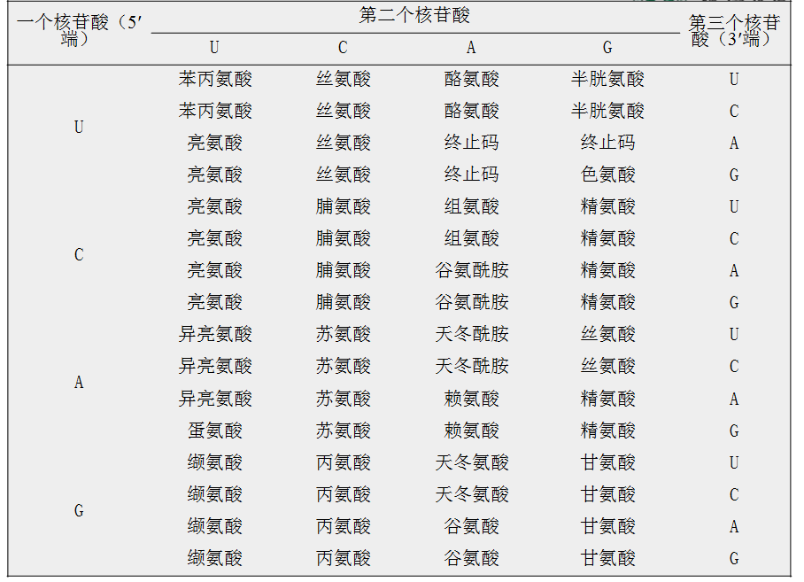 成语遗传什么码_成语故事简笔画(2)