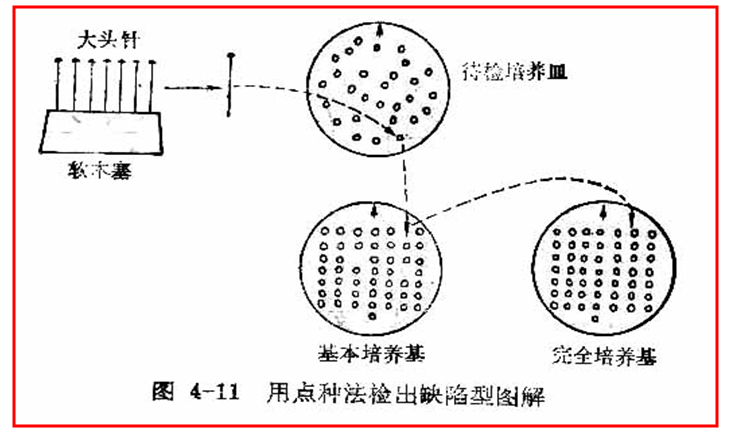 培养基根据什么原理_tsa培养基培养什么菌(3)