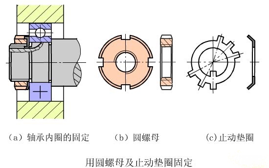 这样,既保证了零件接触良好,又 3.用轴端挡圈固定,如图.