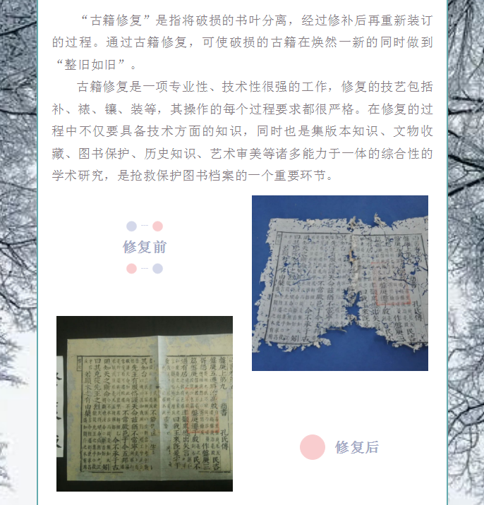 image.png?v=1754275719565
