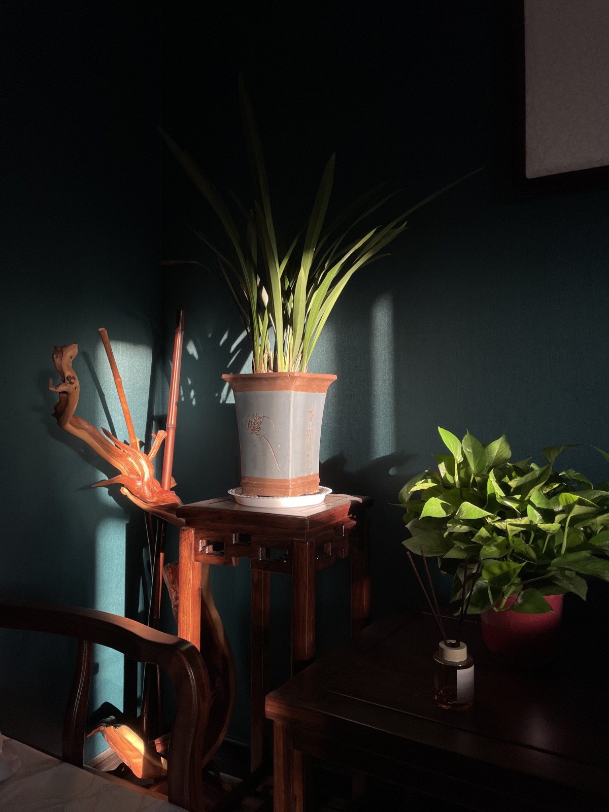 家•印象2 魏永娜