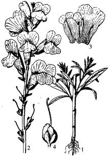 pagenumber_ebook=195,pagenumber_book=195