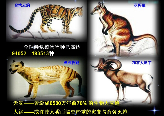 世界人口从1900年_乌海2017年世界人口日(3)