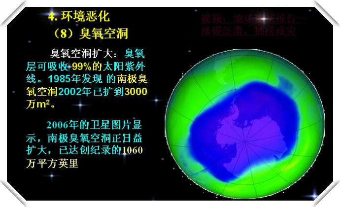 成成人口数