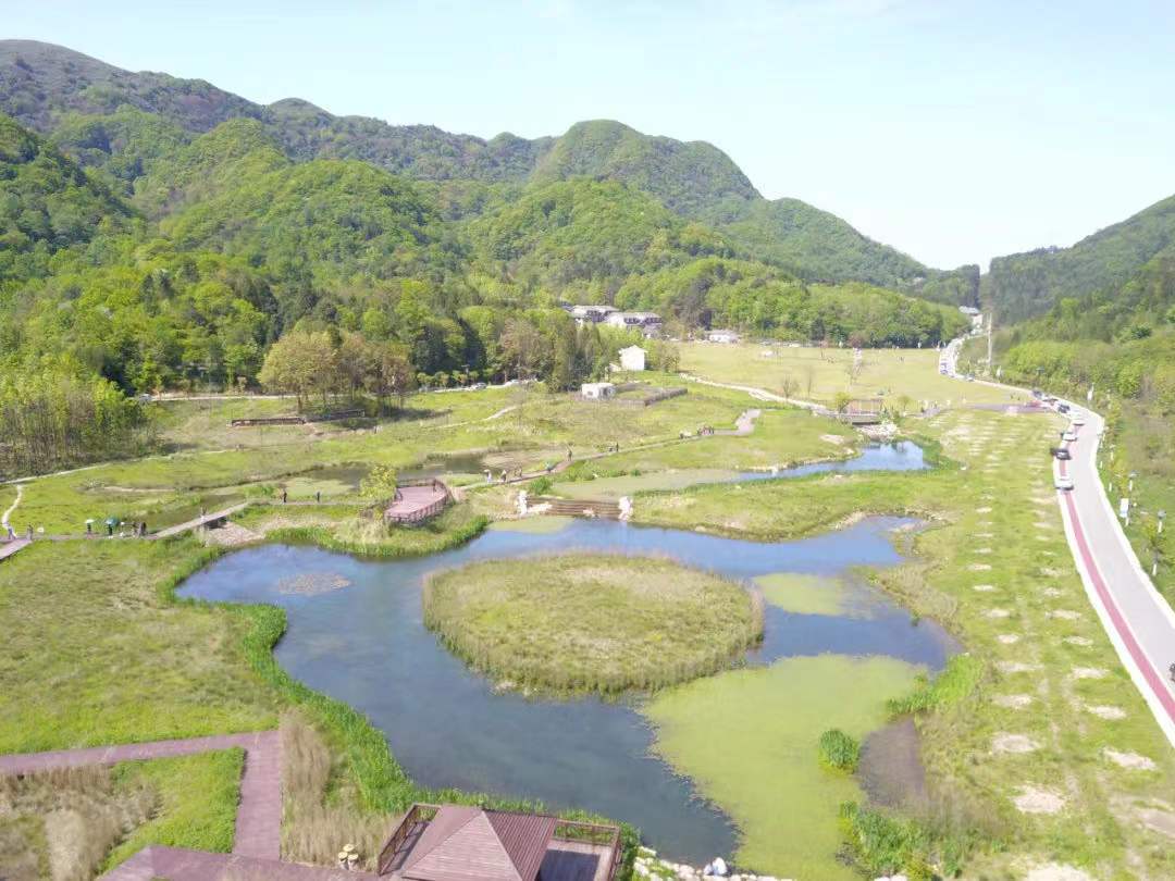 d40e17743bef2b7015f0893f84cc1d4 d40e17743bef2b7015f0893f84cc1d4.jpg?v=1762743078123