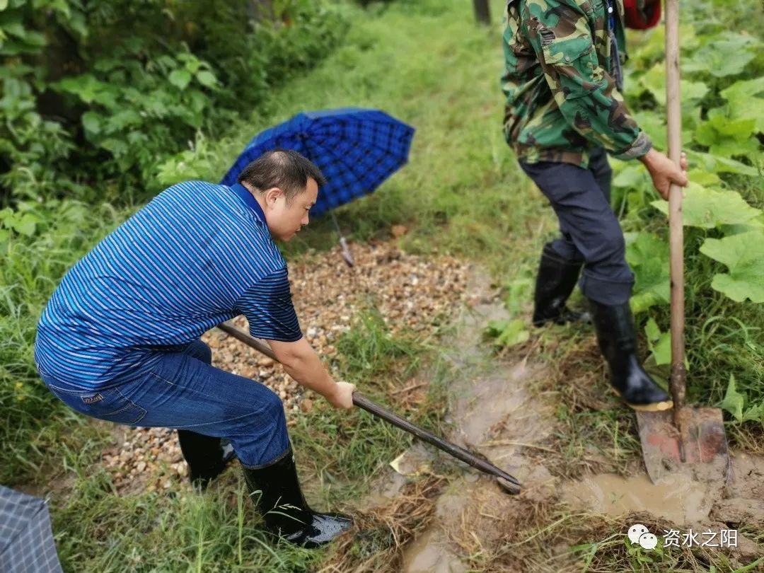 15 15.jpg?v=1765880721220