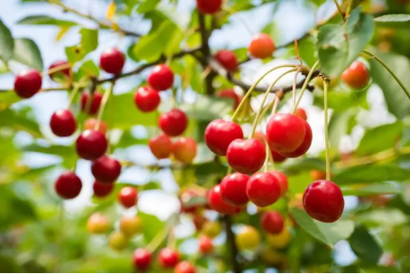 image image.png?v=1770185953980