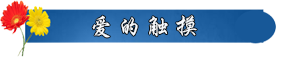 爱的触摸.png