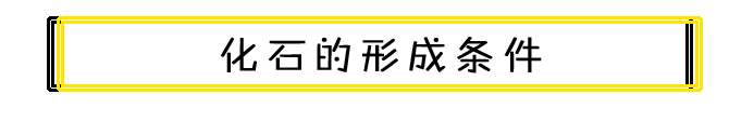 化石的形成条件.png