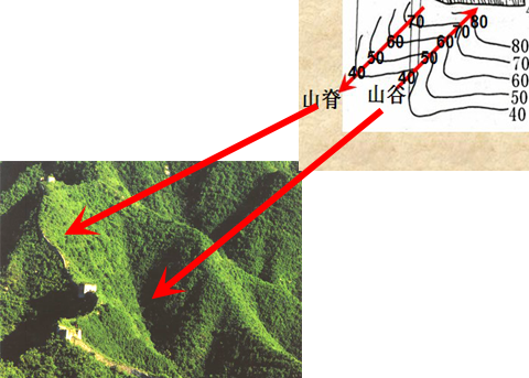 四步:做出判断:因为山谷是山体上凹下去的部位,而山脊是凸出来的部位