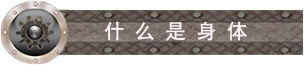 什么是身体.png