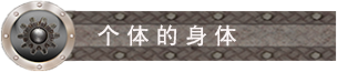 个体的身体.png