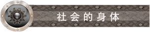 社会的身体.png