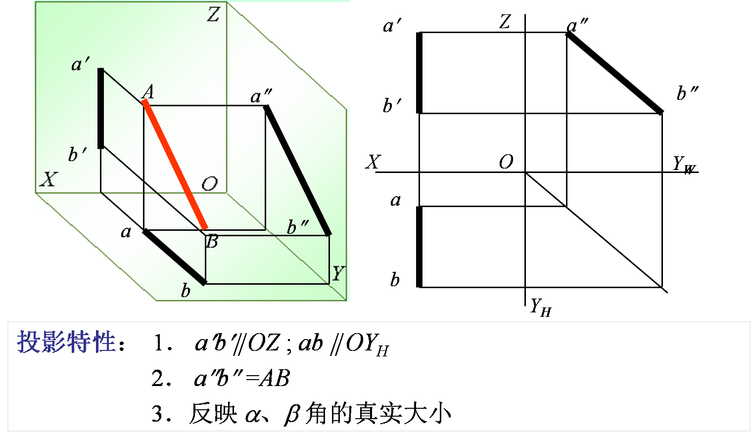 2,投影面平行线投影特性